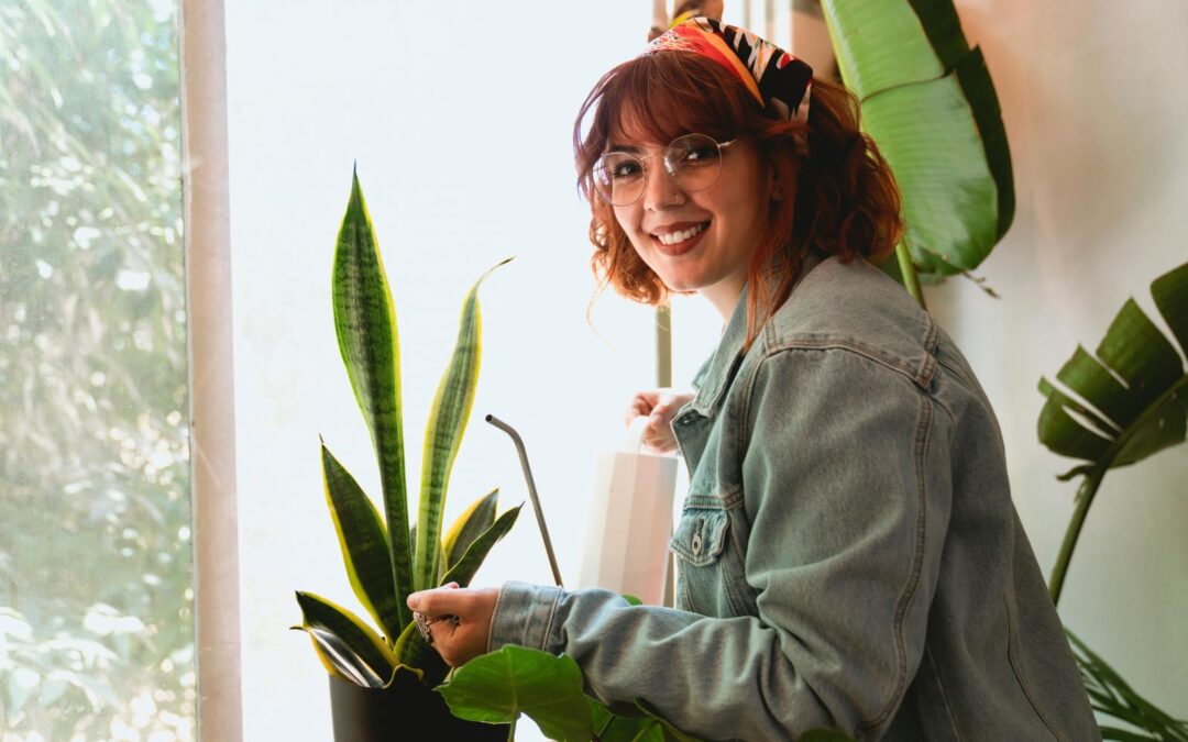 Best Plants for a Greener, Happier Apartment In Westfield