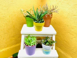 Custom Painted Planters for apartments in Westfield Indiana